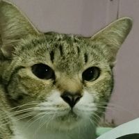 thanakrit0924