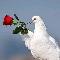 user1330966176115