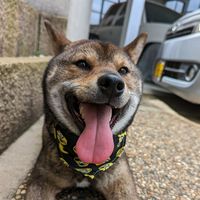 オリジナル楽曲 - masa928