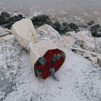 nhạc nền - Chiunonochiu
