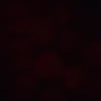 original sound - serhat.bdw