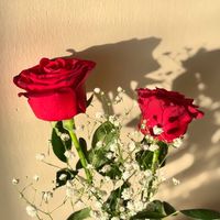 _r.hattab_
