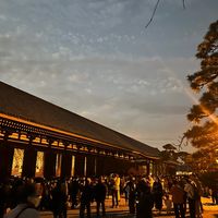hironoritoyo
