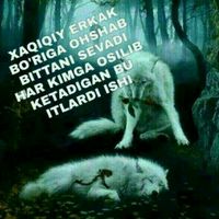 elnur___889