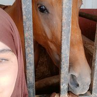 rahma.hr19