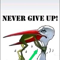 original sound - NEVER GIVE UP!🤪