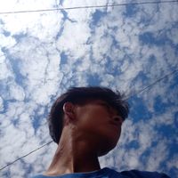 mgzin853