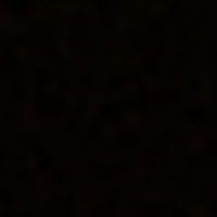 zye_e1