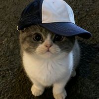 suara asli - kLL mv cantik ✩♡✪