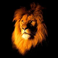 original sound - x_the_calm_12x