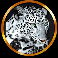nona_tigress