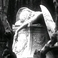 original sound - 3vigheben