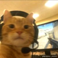 kaitzyy12