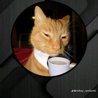 mohermd7