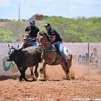 carloshenrique_15