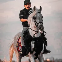 original sound - f4.73