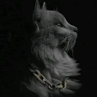 NEW TRENDDDD BY RENZ