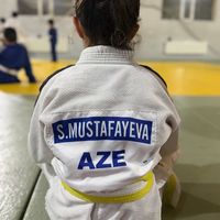 sema__judo2017