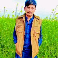 rameshkumarramesh3137