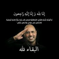 mohmmed.alwerfalli