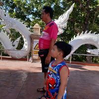 lampong2401