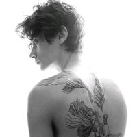 الصوت الأصلي