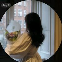 zilan_sndi6