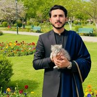 saleem1231238
