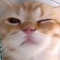 오리지널 사운드 - 민똥이