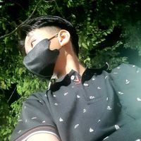 l.vn.nam311