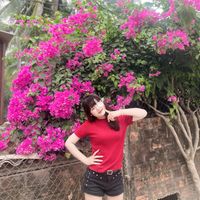 nhạc nền - nguyenlehoangnhan👾