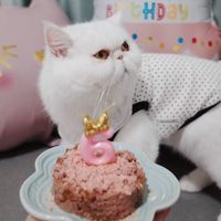 原聲 - 竹竹love music