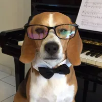 original sound - user65708585978153