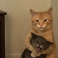 оригинальный звук