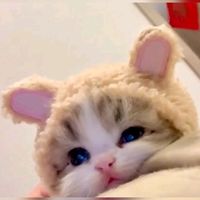 babycutelove_