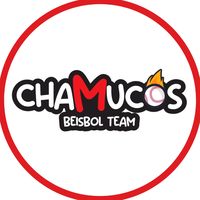 chamucosbeisbol
