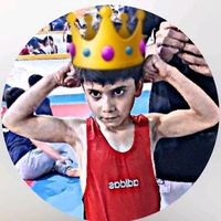 samir.mosavi25