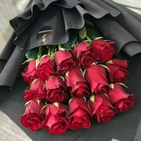 asdaasda803