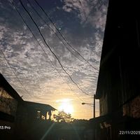 kimflores736