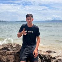 joaopedrofranciscatto