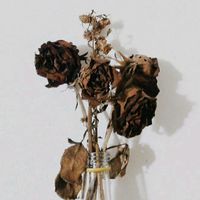 suara asli - inong