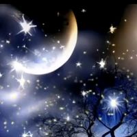 오리지널 사운드 - 🌟 별빛 & 달빛🌙