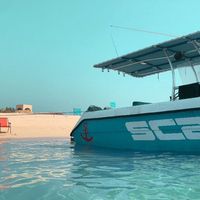 scarab.boat