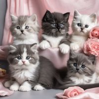 my_mewlifes