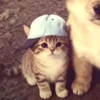 original sound - f1raa_p0