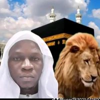 cheikh.ali06