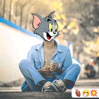 rajulovesalu