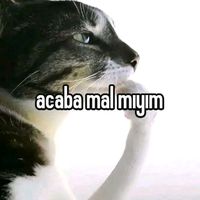 taebenimdir1