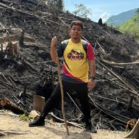 original sound - Dexter Ngabong