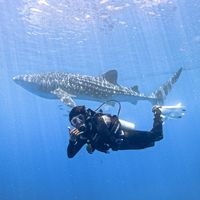 travelenthusiast12_
